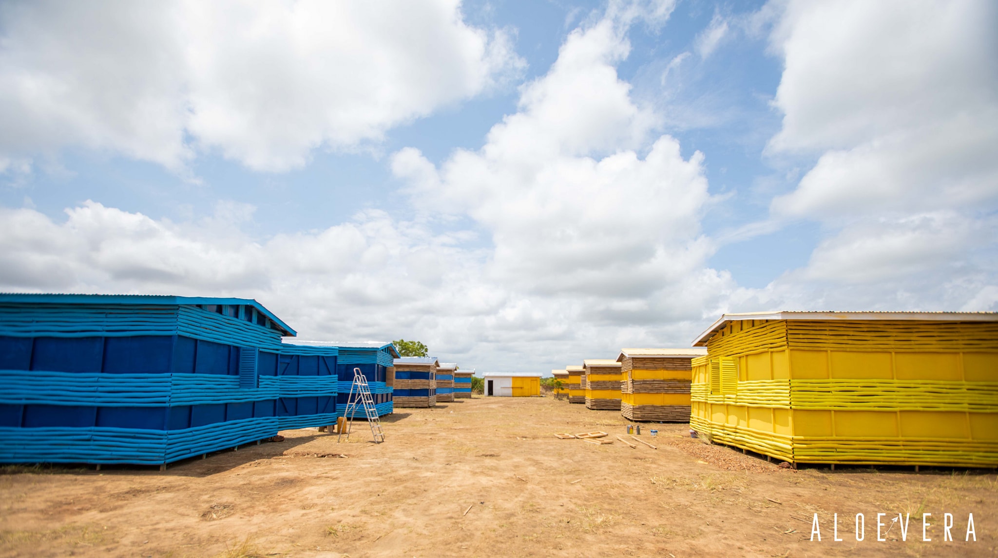 A colourful sight of yellow and blue tenements, the making of Aloe Vera Film. -PHOTOS