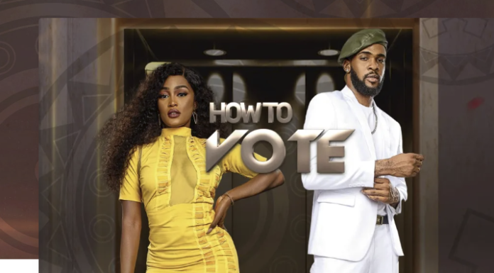 Big Brother Naija S7 How to Vote